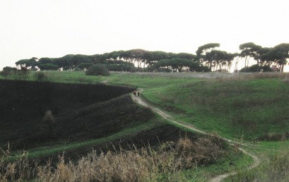 Alla scoperta del Parco del Pineto